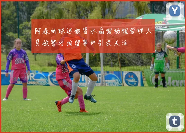 阿森纳球迷假冒水晶宫场馆管理人员被警方拘留事件引发关注